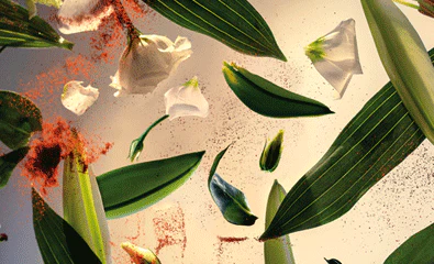 ENCART-PARFUM-INTERIEUR_720x