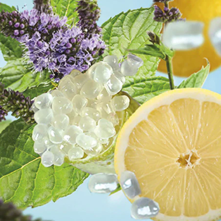 toniclemon_NAVDROPDOWN_720x