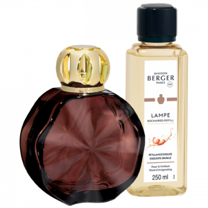 Lampe Berger Giftset Cercle Prune