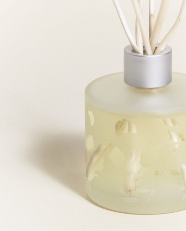 Aroma Focus Geurstokjes - Afbeelding 3