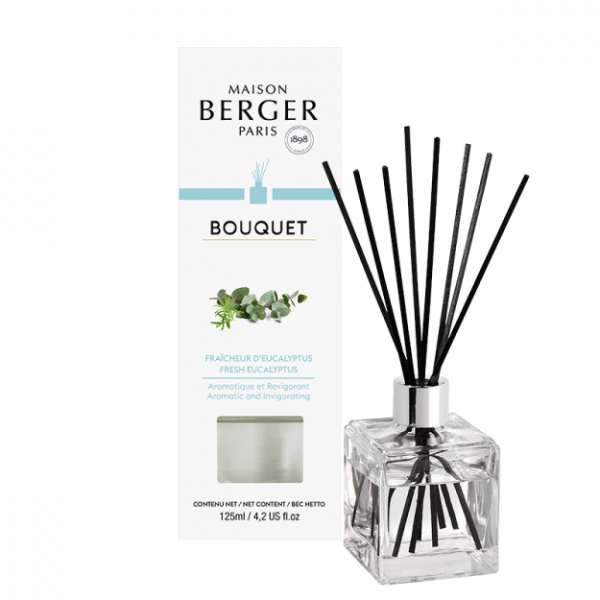 Bouquet Parfumé Cube Fraicheur D'eucalyptus